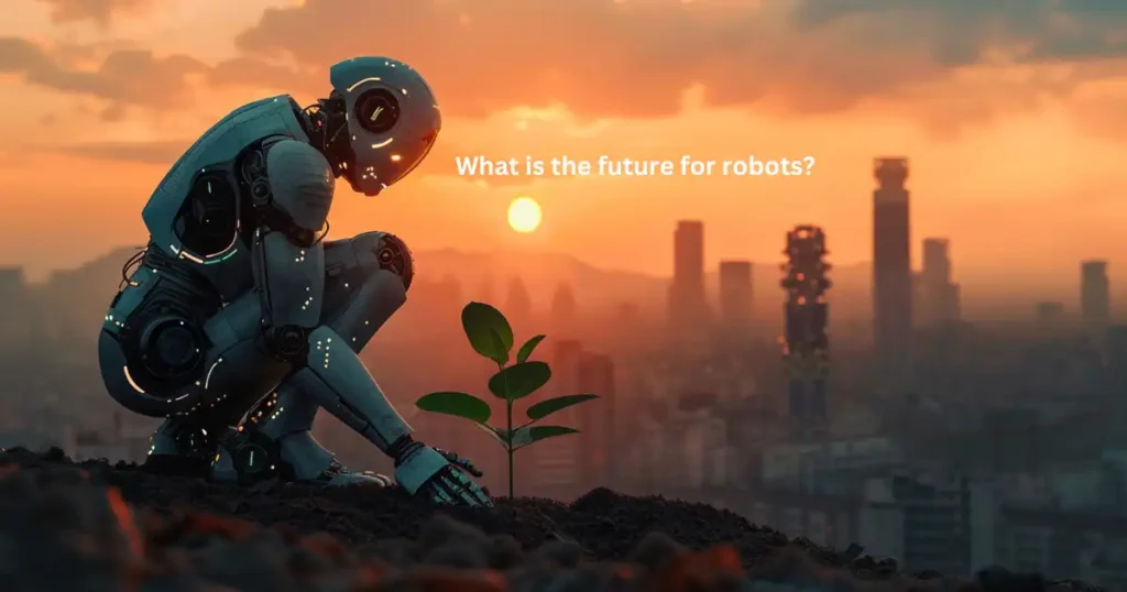 What is the future for robots?