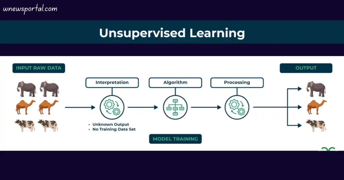 Unsupervised Machine Learning